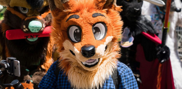 Quiz What Kind Of Furry Are You? ProProfs Quiz